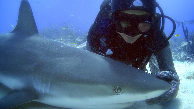 “Shark girl” conservationist Madison Stewart has been nominated for a ...