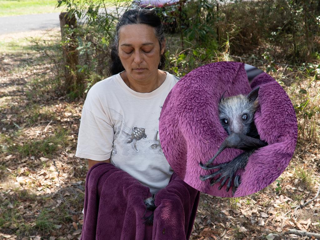 Wildlife rescuer Marjie Spies holds a baby Flying Fox that had fallen from its mother in Blackbutt.