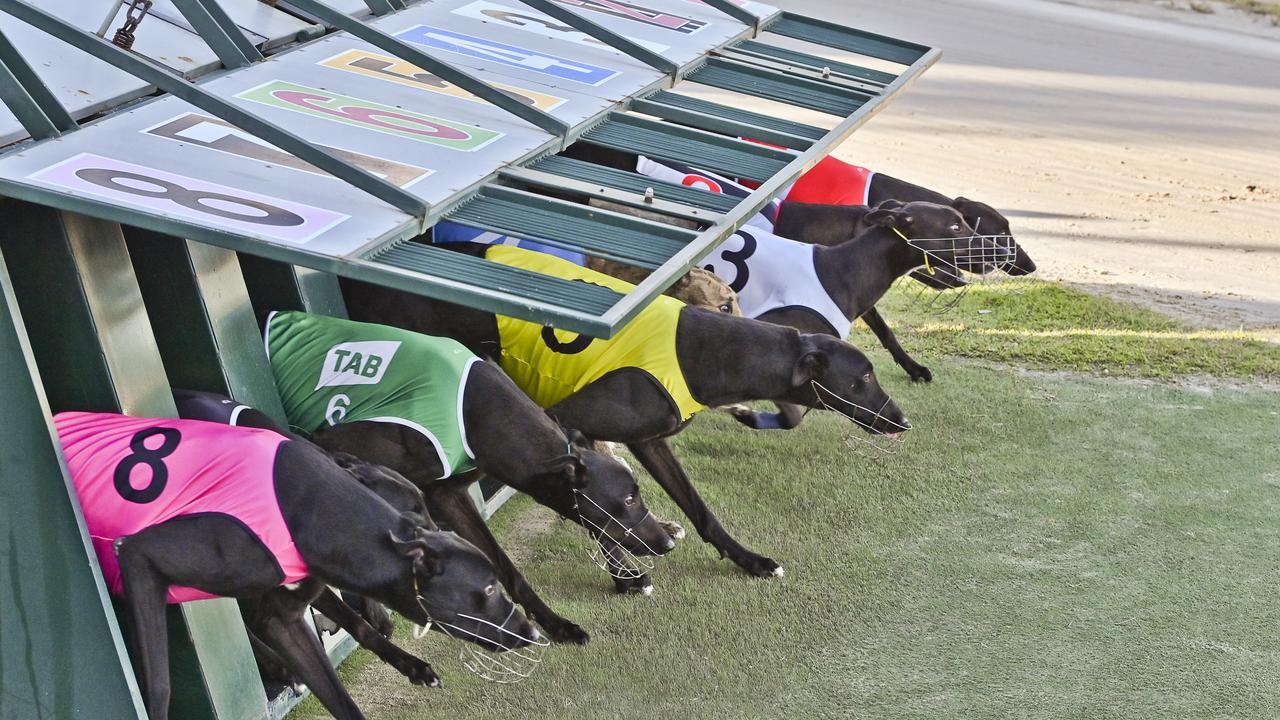 December'05 - Greyhounds Queensland
