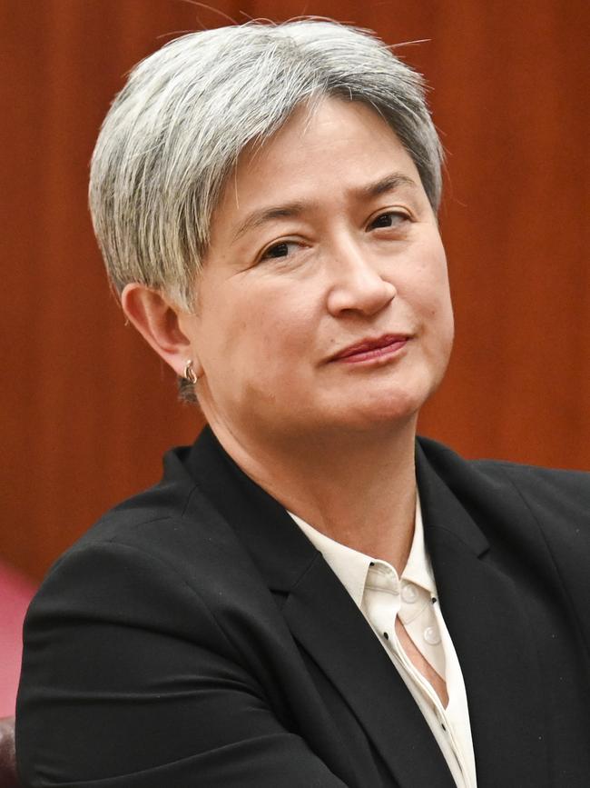 Foreign Minister Penny Wong. Picture: NewsWire/Martin Ollman