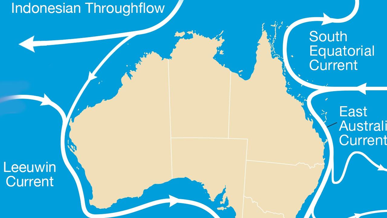 The Leeuwin Current has been funnelling warmer La Nina waters down the WA coast. Picture: BOM.