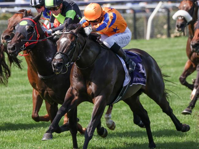 Imperatriz ridden by Opie Bosson wins the Black Caviar Lightning at Flemington Racecourse on February 17, 2024 in Flemington, Australia. (Photo by George Sal/Racing Photos via Getty Images)