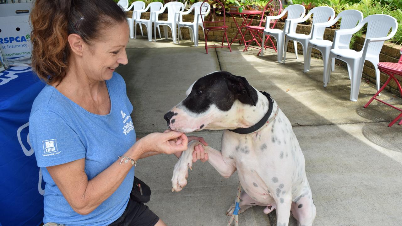 GOOD BOY: RSPCA Noosa's Kitty O'Brien with Duke.