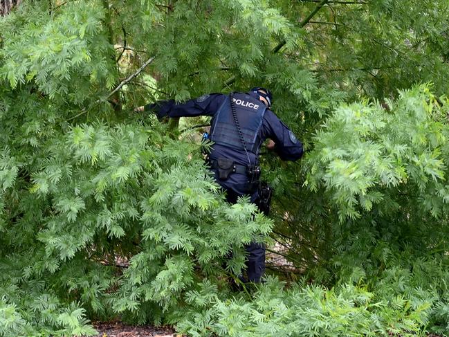 Officers search bushland near where the car was torched.Picture: NCA NewsWire / Jeremy Piper