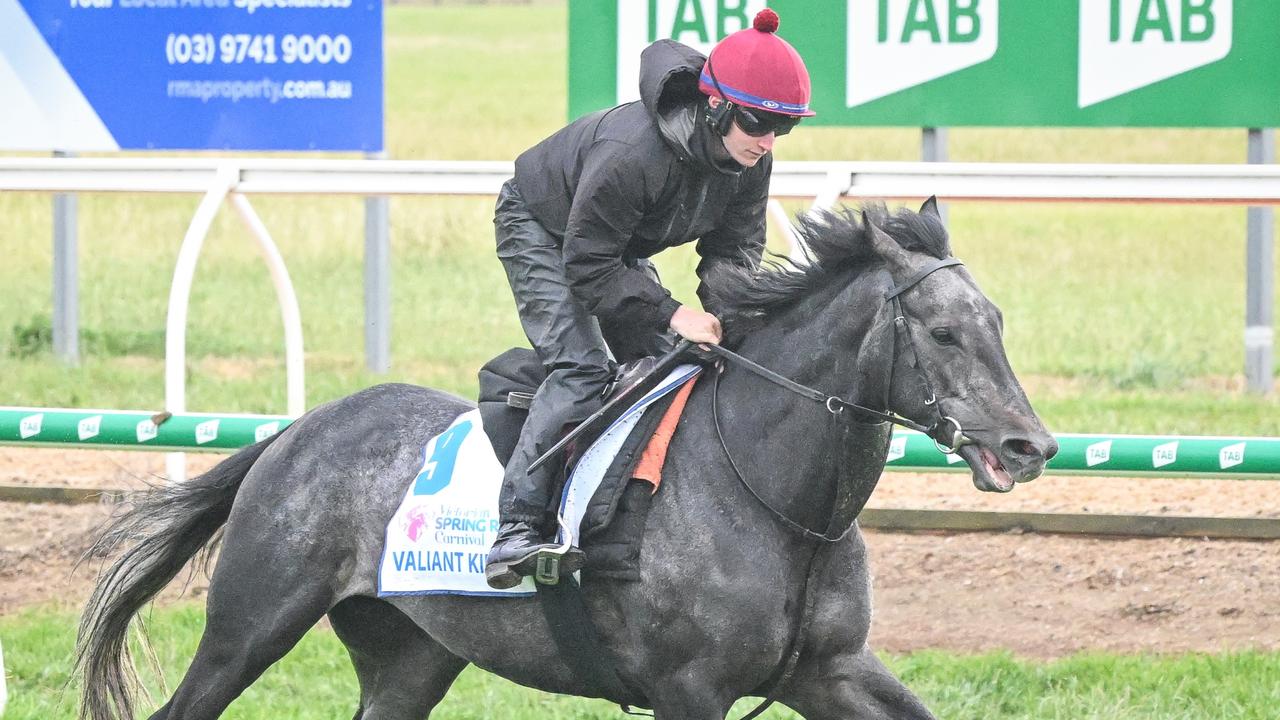 Melbourne Cup order of entry: Valiant King withdrawn