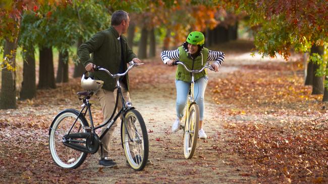 Beechworth on the Murray to Mountains Rail Trail. Picture: Tourism North East