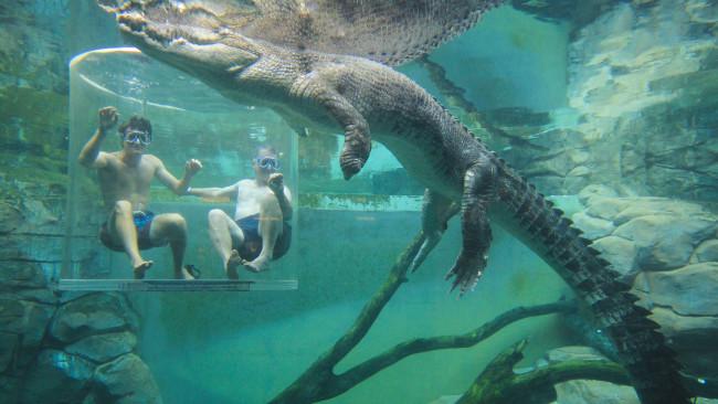 Things for families to do in Darwin
 Darwin’s Stokes Hill Wharf  is now home to a 35m colourful ferris wheel with vistas over the waterfront. And for kids not keen on crocs, the new Whipray Encounter at  Crocosaurus Cove  invites guests to hand-feed the friendly 2m rays. 