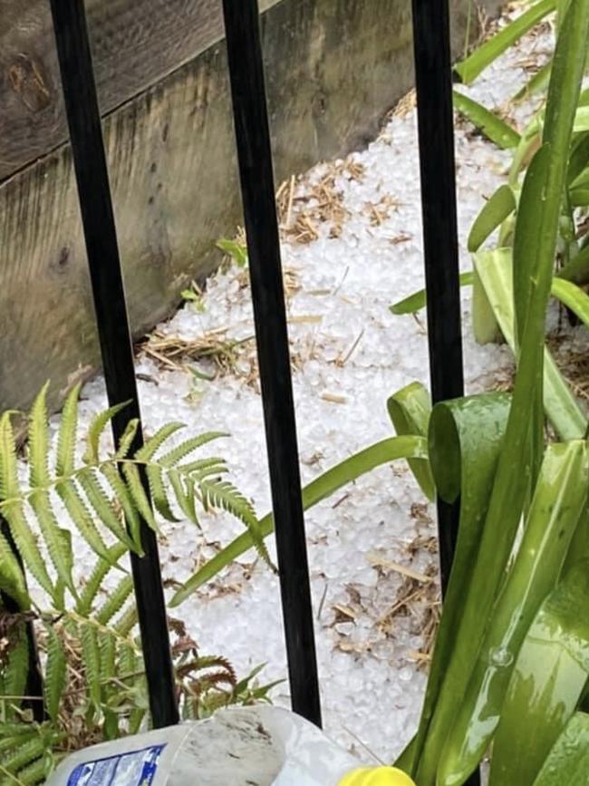 Large hail at D'Aguilar. Photo: Christine McClure