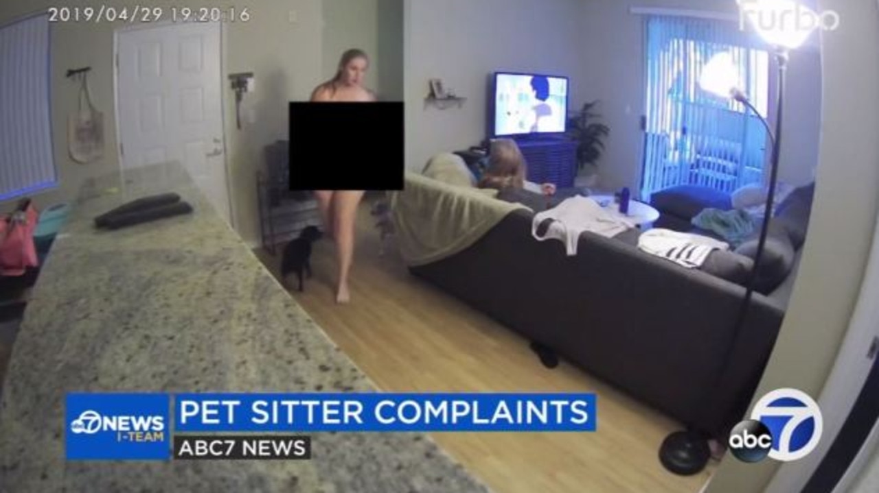 Naked pet sitter caught having sex with partner on nanny cam news.au — Australias leading news site pic