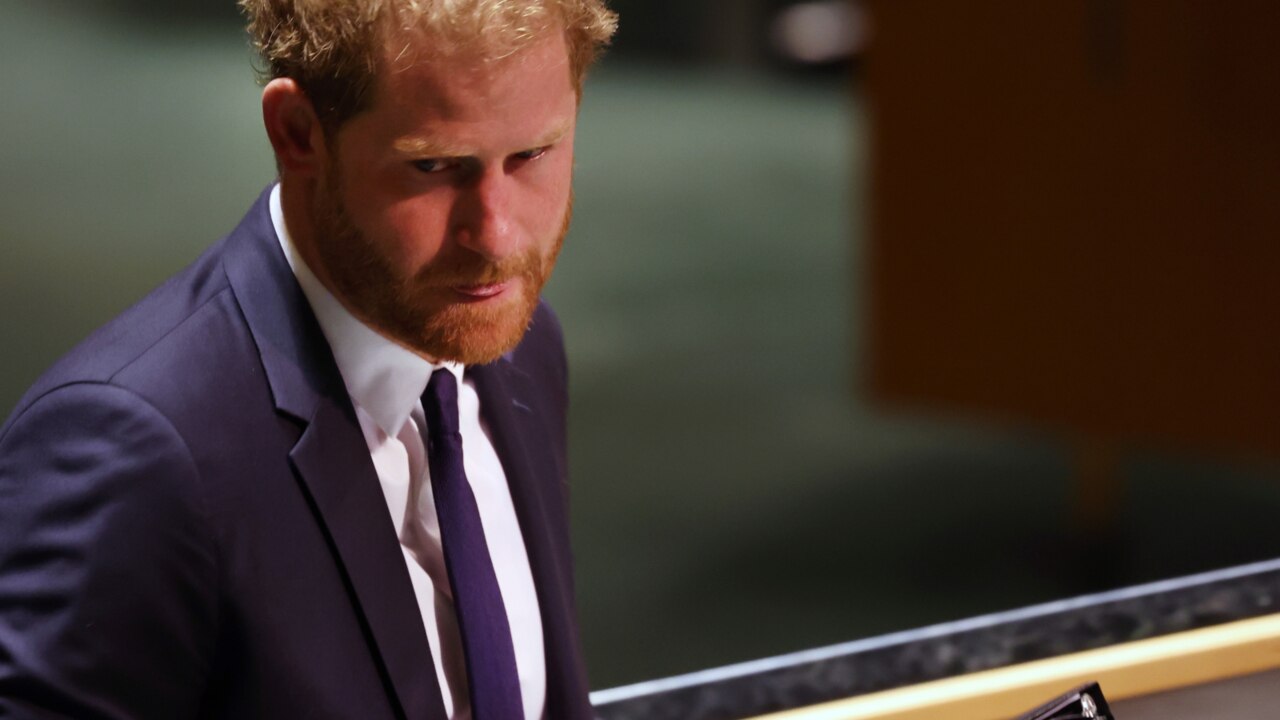 Prince Harry wants to be a 'professional victim'