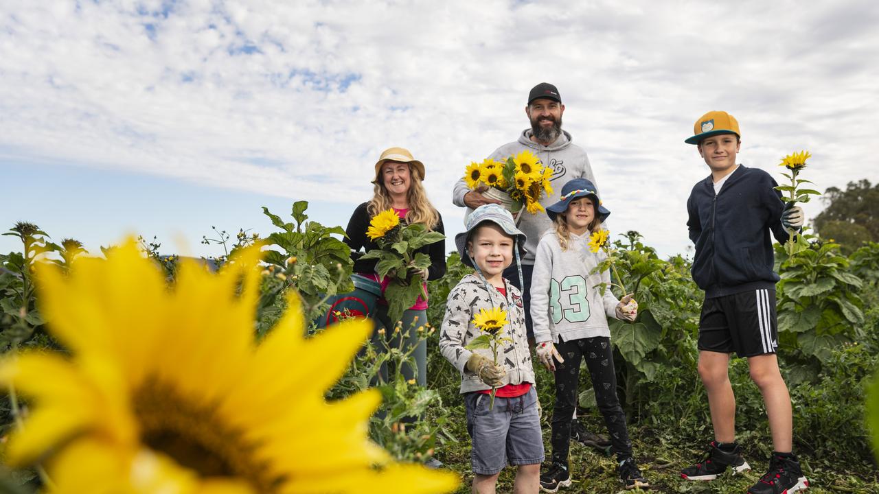 At Warraba Sunflowers are Ben and Fiona Werba with their kids (from left) Teddy, Maddy and Harry, Saturday, June 22, 2024. Picture: Kevin Farmer