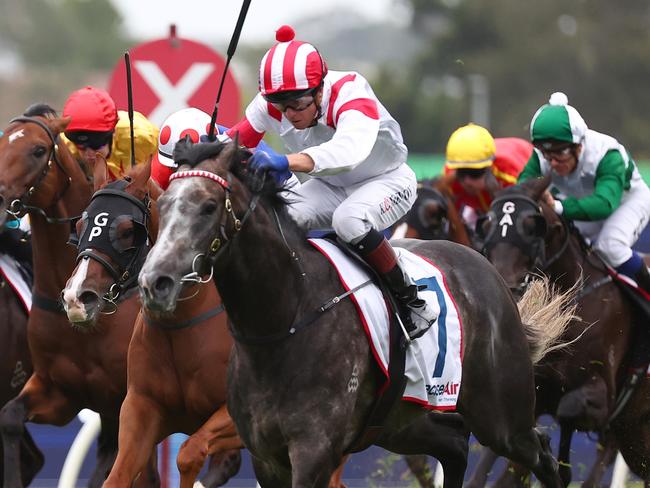 SYDNEY, AUSTRALIA - FEBRUARY 24: Kerrin Mcevoy riding Celestial Legend wins Race 8 Precise Air Hobartville Stakes  during "Silver Slipper Stakes Day" - Sydney Racing at Rosehill Gardens on February 24, 2024 in Sydney, Australia. (Photo by Jeremy Ng/Getty Images)