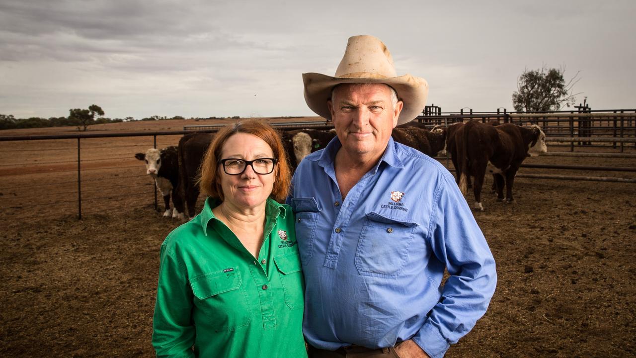 Who Owns Australia: Viv Oldfield, Twiggy Forrest and high farm prices ...