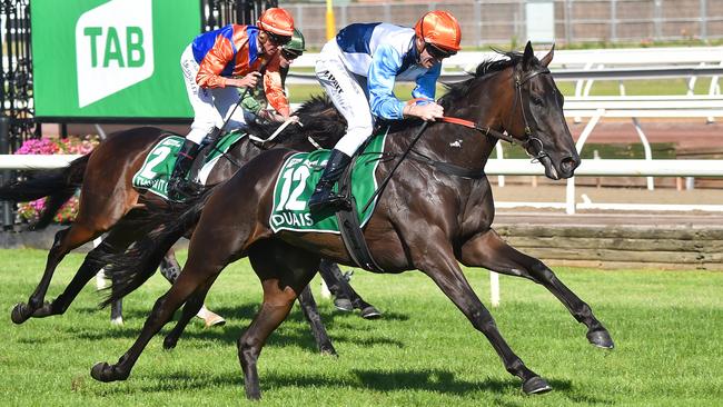 Duais became the first mare since Makybe Diva to win the Australian Cup (pictured) and Tancred Stakes double. Picture: Getty Images