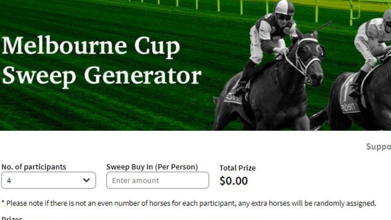 Melbourne Cup sweep 2022, free template, printable Herald Sun