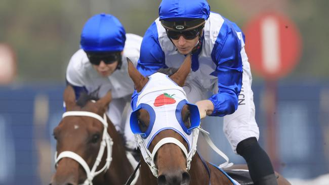 James McDonald combines with The Elanora to the De Bortoli Wines Handicap.