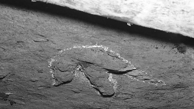 Dinosaur footprints in the ceiling of the Westvale Colliery near Rosewood, Queensland.