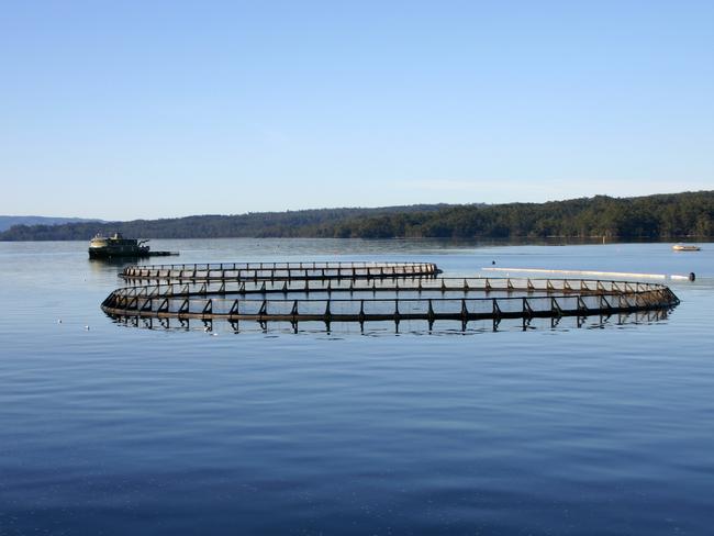 ESCAPE: QANTAS BEST KEPT SECRETS - TAS .. Fish farm in Macquarie Harbour, Strahan, Tasmania. Picture: Supplied