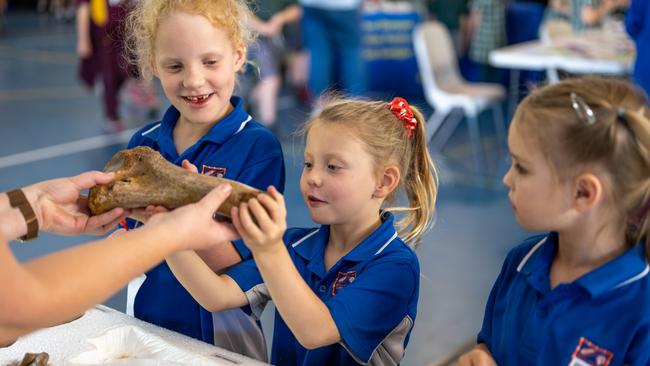 Chinchilla Science fair