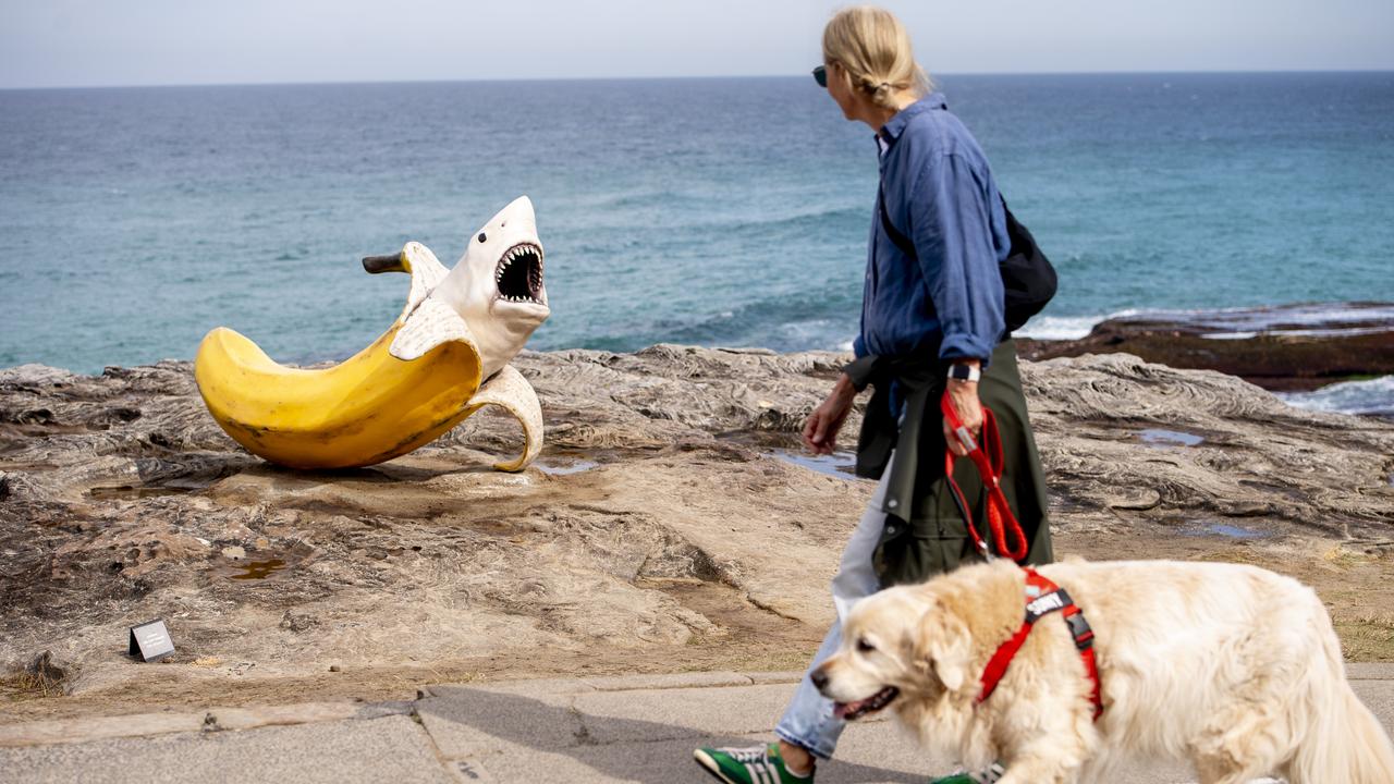 The banana shark sculpture is a must-see. Picture: NewsWire / Jeremy Piper