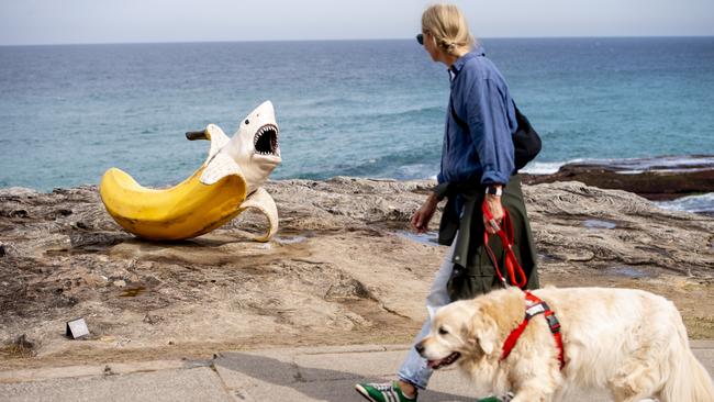 The banana shark sculpture is a must-see. Picture: NewsWire / Jeremy Piper