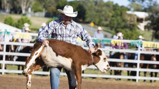 A petition with 60,000 signatures has called for an end to calf roping in Queensland rodeos