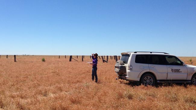 One of the agriculture and rural operations trainers out on a job on a remote cattle station.