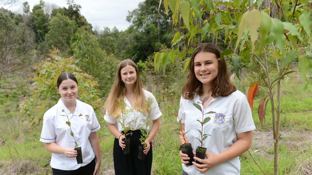 Mullumbimby High School vice captain Indi Gumbrell and fellow students Malani Farrell and Bethany Woods prepare to plant trees as part of the new Trees for Koalas - Connecting Communities project. The project is aimed at increasing the number of koala food trees on private properties within the Byron Shire. The group toured a Binna Burra property on Tuesday, October 27, before planting 400 new koala food trees to build upon existing plantation works. Picture: Liana Boss