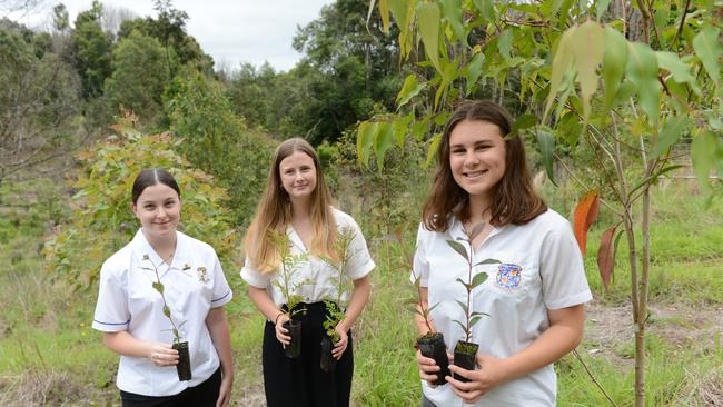 Mullumbimby High School vice captain Indi Gumbrell and fellow students Malani Farrell and Bethany Woods prepare to plant trees as part of the new Trees for Koalas - Connecting Communities project. The project is aimed at increasing the number of koala food trees on private properties within the Byron Shire. The group toured a Binna Burra property on Tuesday, October 27, before planting 400 new koala food trees to build upon existing plantation works. Picture: Liana Boss
