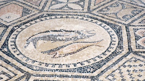 The Megiddo Mosaic. Picture: Menachem Wecker/X