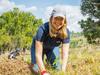 ‘Green’ mobile phone hits Coles shelves