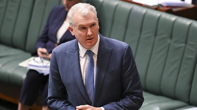 Home Affairs Minister Tony Burke. Picture: NCA NewsWire / Martin Ollman