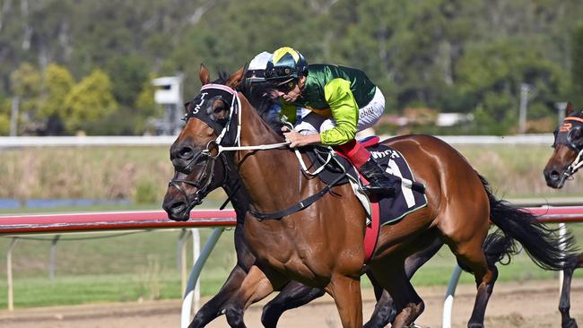 <s1>ON SONG: Takeittothelimit (pictured winning at Ipswich last season) was too strong at Clifford Park.</s1> <ld pattern=" "/> <source>Picture: File</source>