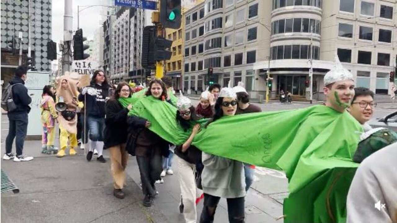 Some students wore tin foil hats and walked with a green banner draped over them. Picture: Reddit