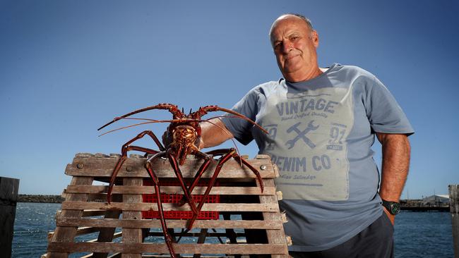 Crayfisherman Rick Dipane, with a cray at Rous Head, North Fremantle, on Tuesday, is hoping for a quick resumption of sales to China. Picture: Colin Murty