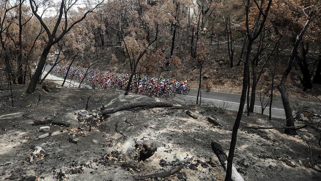 The Peloton rides through firegrounds at Woodside. Picture: Sarah Reed