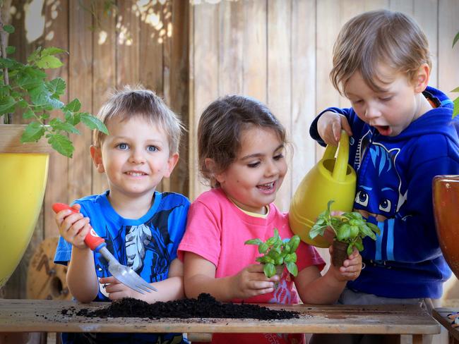 William Bird, 4, Charlotte Hall, 4, and Noah Mehaffey, 4, at Kindy Garden Ferny Hills in Queensland. Picture: Jamie Hanson