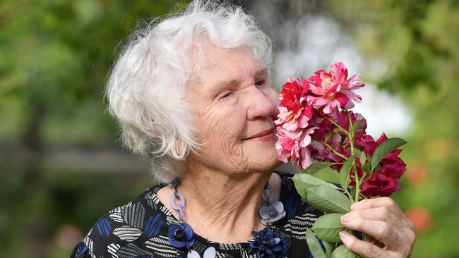 Laurel Sommerfeld with her Maurice Utrillo roses at Sommerfeld LG Rosemere Farm. Picture: Patrick Woods.