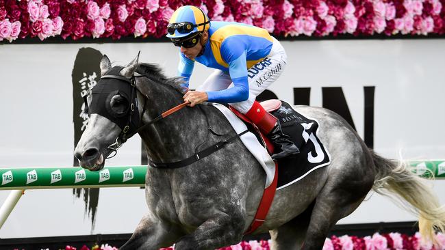 Fun Fact will appreciate the step up to 2000m at Rosehill Gardens. Picture: AAP