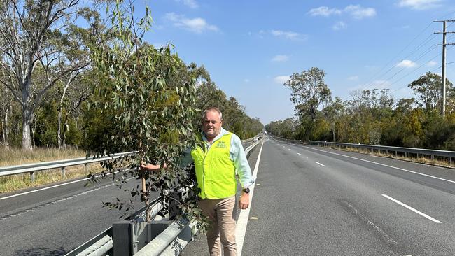 Gippsland East MP Tim Bull with one of the 153 trees that have grown up through the middle of safety barriers on the Princes Hwy.