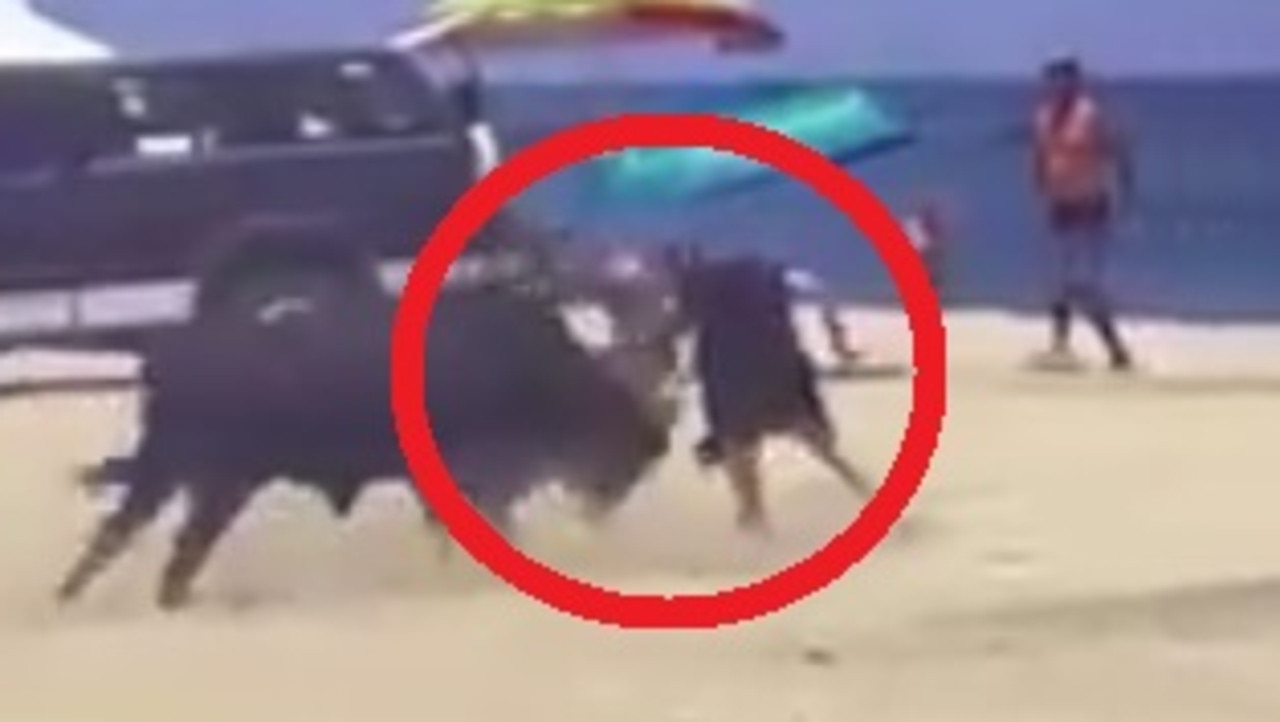 Shock moment woman gored by bull on beach