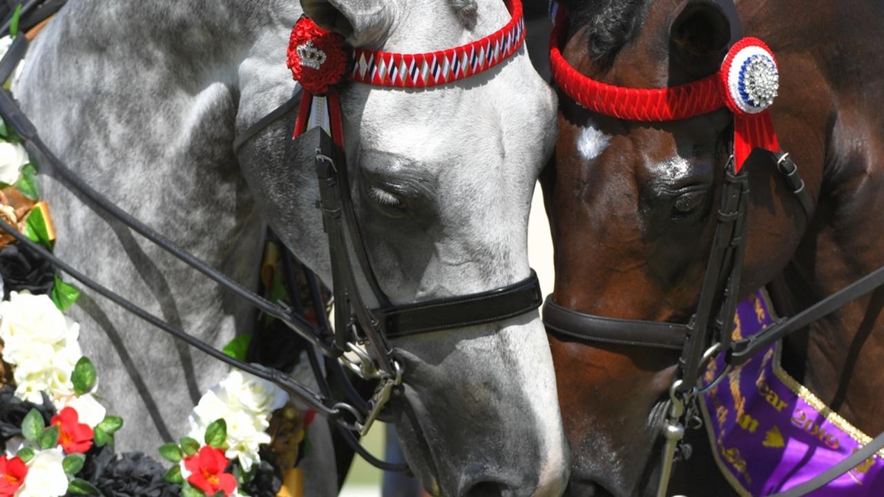 Romsey Park stables win big at Barastoc Horse of the Year show The