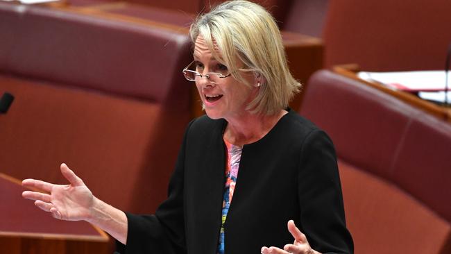 Fiona Nash when she was still a member of parliament. Picture: AAP