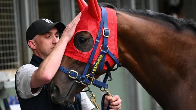 Big Me returns for trainer Nick Ryan at Bendigo on Tuesday. Picture: Vince Caligiuri/Getty Images