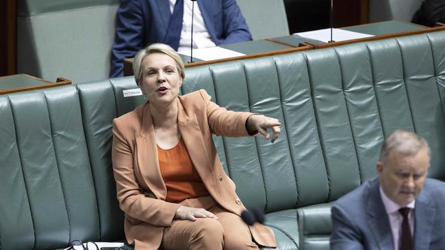 Tanya Plibersek with Anthony Albanese during Question Time. Picture: NCA NewsWire / Gary Ramage