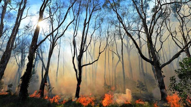 A total fire ban is in place across NSW. Picture: File