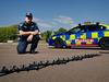 NT Police give explanation over reports they targeted wrong car