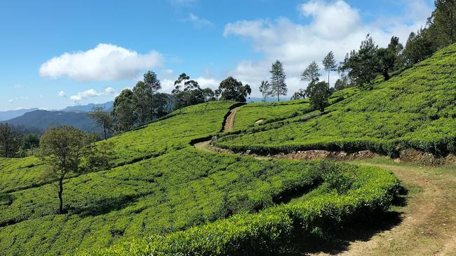 The Pekoe Trail in Sri Lanka