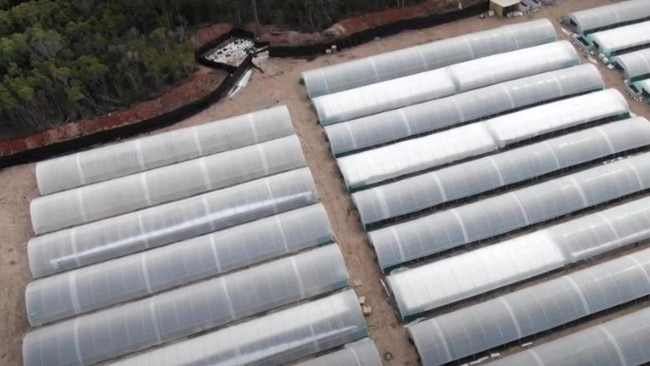 The workers constructed 51 greenhouses with a length of 80m, equipped with retractable plastic walls and hydration systems.