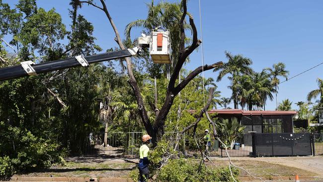 Council workers remove emaining damaged trees, almost five months after Cyclone Marcus at Fannie Bay on Wednesday, August 15, 2018 Picture: Keri Megelus